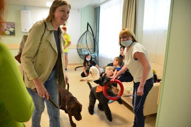 В детском хосписе Екатеринбурга приняли экзамен у собак-терапевтов