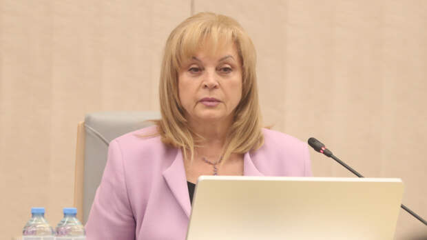 Памфилова заявила о риске развала избирательной системы Запорожья