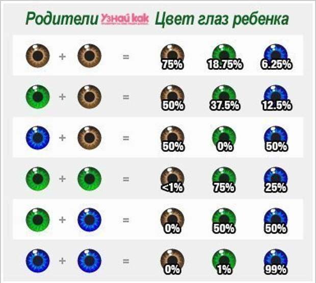 Как с некоторой долей вероятности определить цвет глаз будущего ребенка?