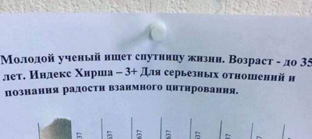 В поисках второй половинки (22 фото)