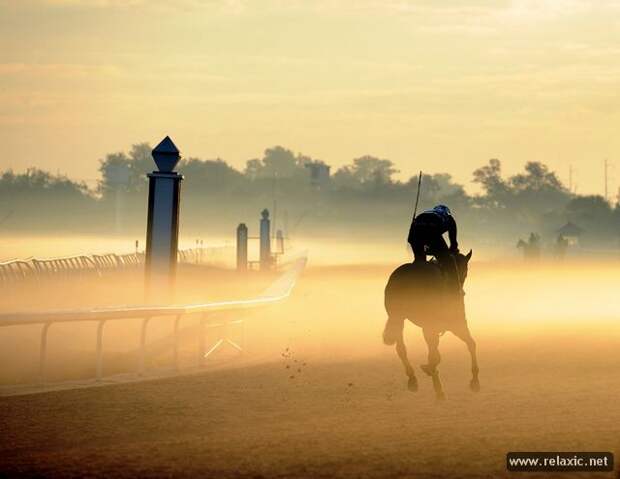 october_007 october_007