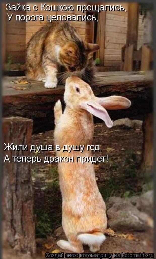 Котоматрица - Зайка с Кошкою прощались, У порога целовались, Жили душа в душу год, А