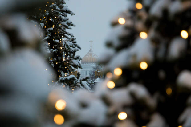 Депутат Кривоносов: Москва и Петербург стали лидерами по бронированиям в Новый год