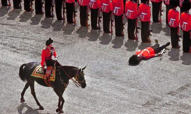 Гвардеец упал в обморок как раз в момент, когда королева Елизавета II проезжала на лошади во время парада в Лондоне история, люди, редкие, фото
