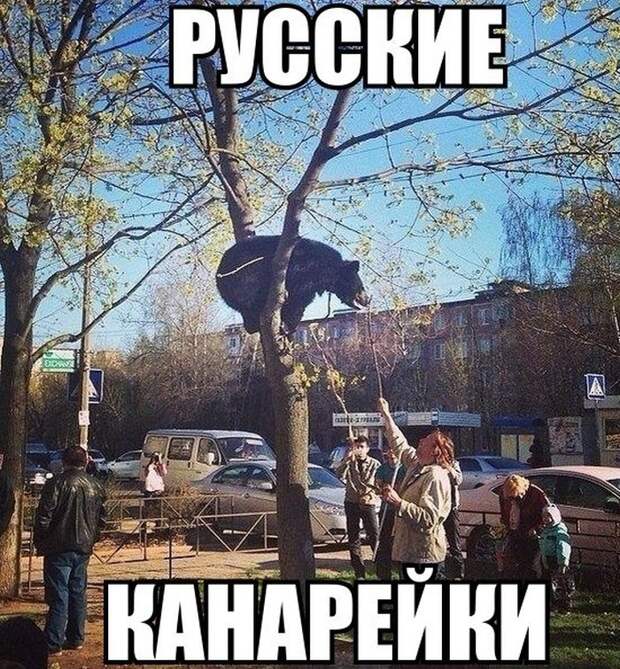 Фотоподборка четверга (104 фото)