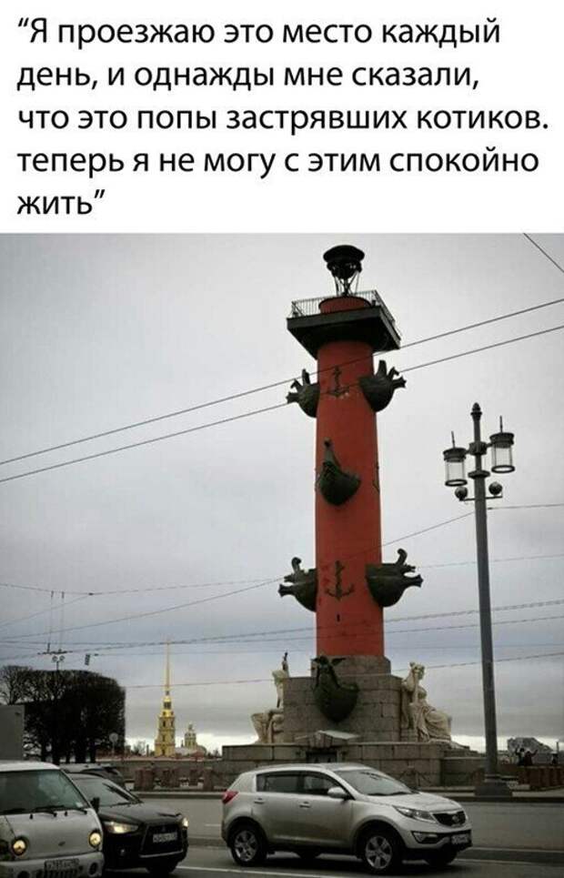 Смешные и познавательные картинки