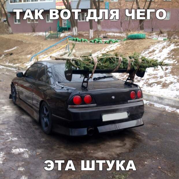 Подборка забавных фото и смешных картинок с надписью Подборка забавных фото и смешных картинок с надписью