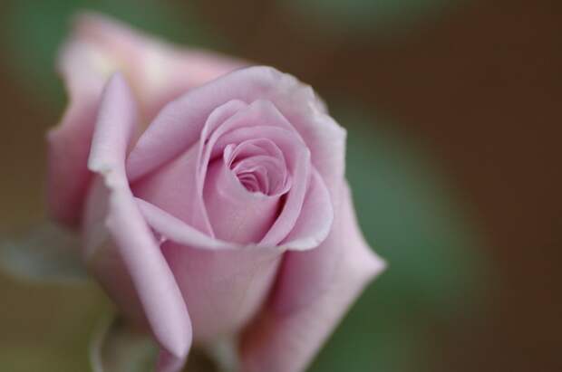 Есть только миг между прошлым и будущем... Есть только миг между прошлым и будущем...