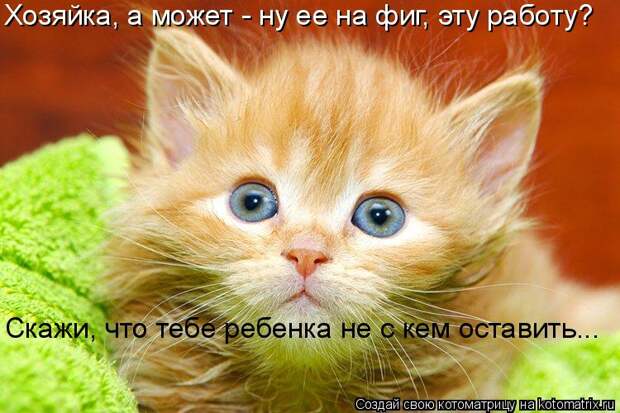 Котоматрица - Хозяйка, а может - ну ее на фиг, эту работу? Скажи, что тебе ребенка н