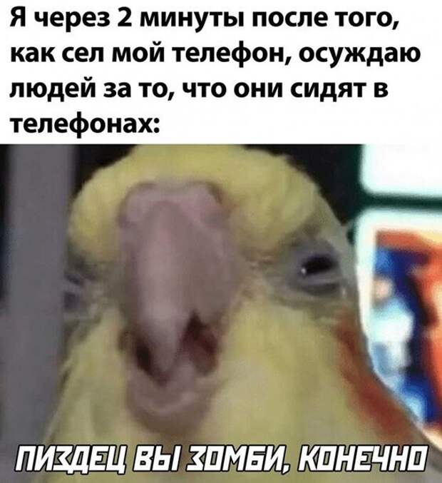 Вы зомби ) Вы зомби )