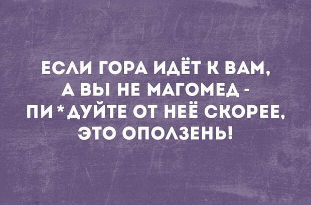 Прикольные цитаты и истории (50 картинок)