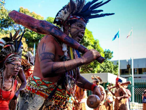 amazonwatch.org
