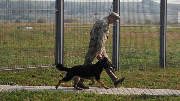Украинские пограничники нашли в Карпатах у границы с Румынией тела двух мужчин