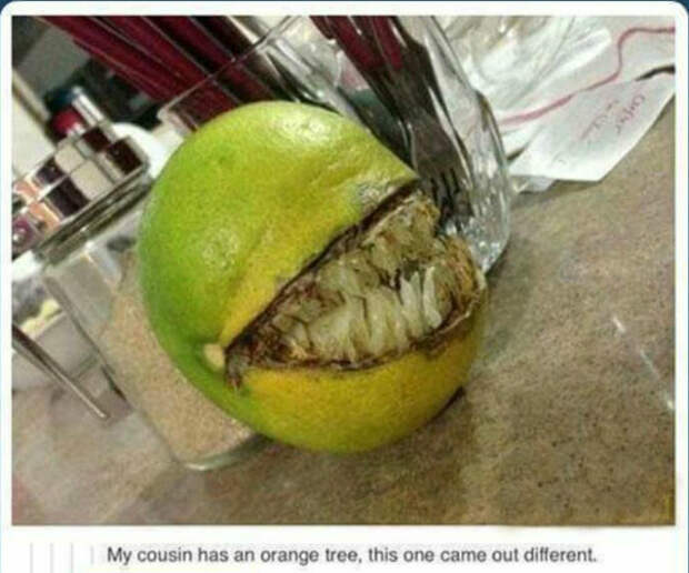 Чудовищный плод.