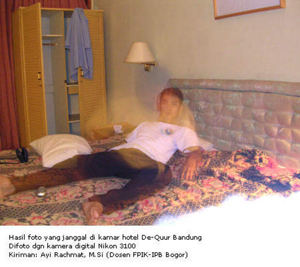 Piccy.info - Free Image Hosting