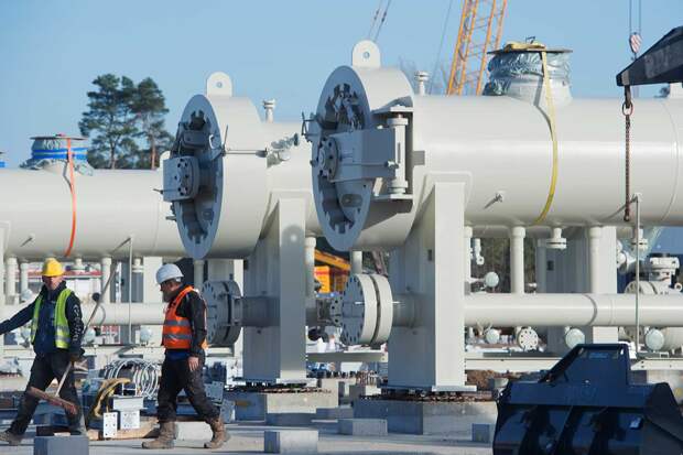 Фото: www.globallookpress.com