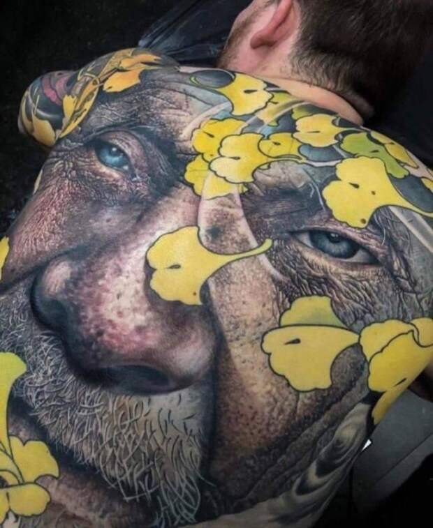 Подборка картинок. Дневной выпуск (23 фото)