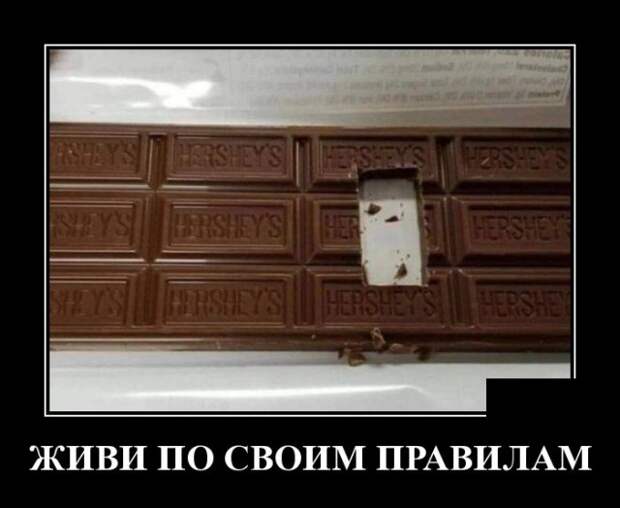 Демотиваторы (20 фото)