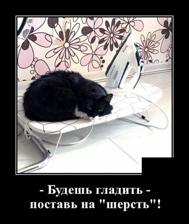 demotivatory-demotivator-smeshnye-demotivatory-demotivator-so-smyslom