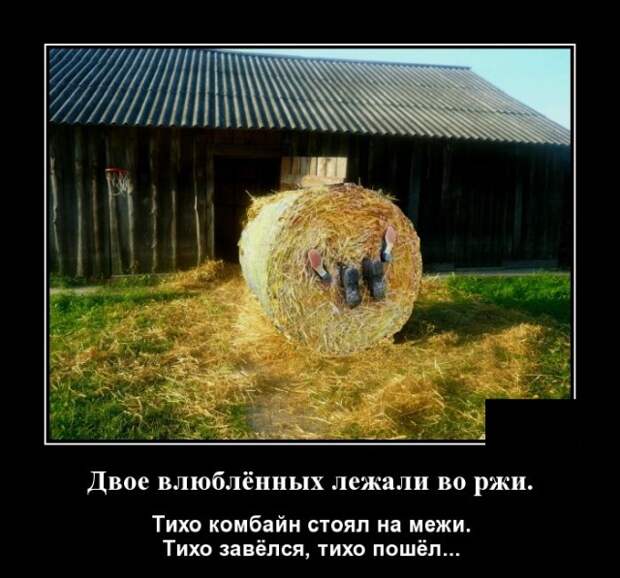 Демотиваторы (20 фото)