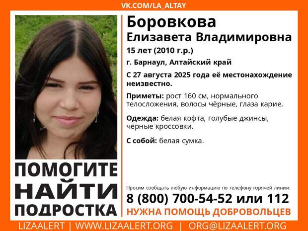 Пропавшая Лиза Боровикова / Фото: