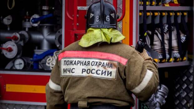 Пожарные вынесли из огня кошку, собаку и морскую свинку