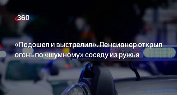 Мужчина застрелил соседа из-за шума в деревне Каменка в Подмосковье