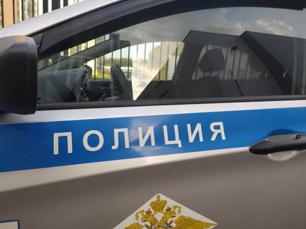 В Новосибирске тело женщины с мёртвым котом найдено под окнами многоэтажки