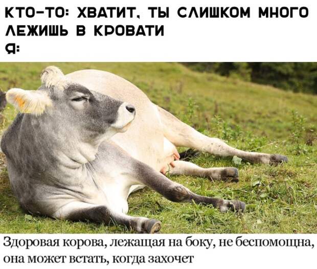 Подборка картинок. Дневной выпуск (23 фото)