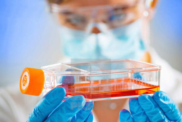 Осенью текущего года завод «Акрус БиоМед» начнет выпускать биомедицинские клеточные продукты