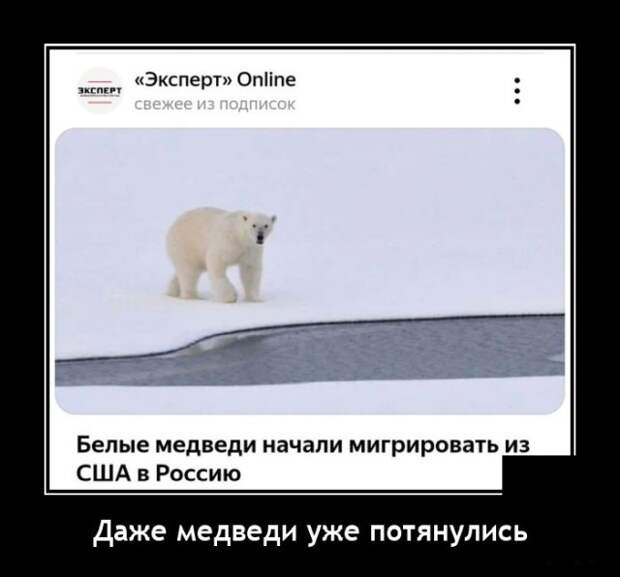 Демотиваторы 10 января 2021 года