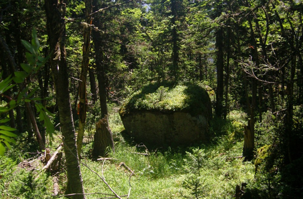 Тайна камня желаний