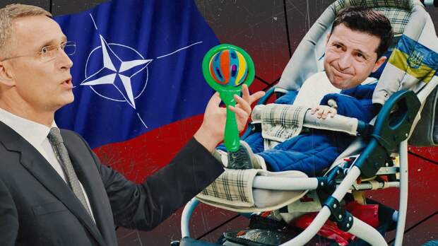 Политолог Жарихин назвал иллюзией мечты Украины о вступлении в НАТО