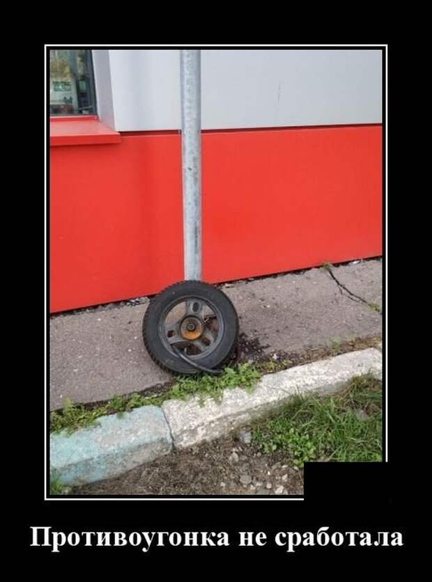 Демотиваторы (20 фото)