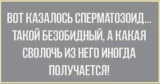 Картинки с надписями и всякие жизненные фразы