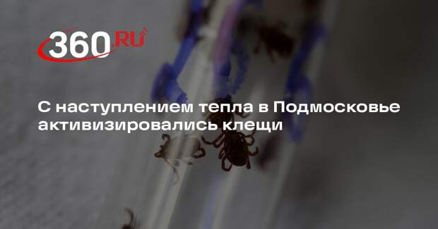 С наступлением тепла в Подмосковье активизировались клещи