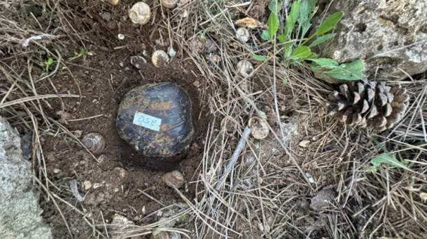 В Евпатории полиция пресекла попытку распространения особо крупной партии «синтетики»