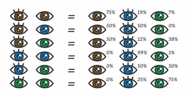 Почему глаза разного цвета и какой цвет самый редкий? (4 фото)