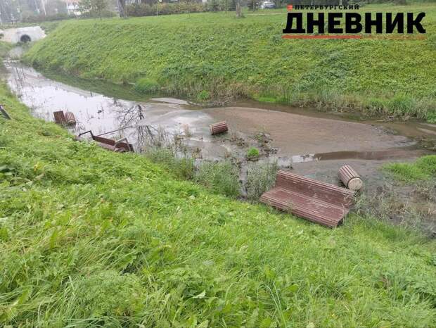 «Ситуация на контроле»: в администрации Кировского района прокомментировали акт вандализма в зеленой зоне на Дачном