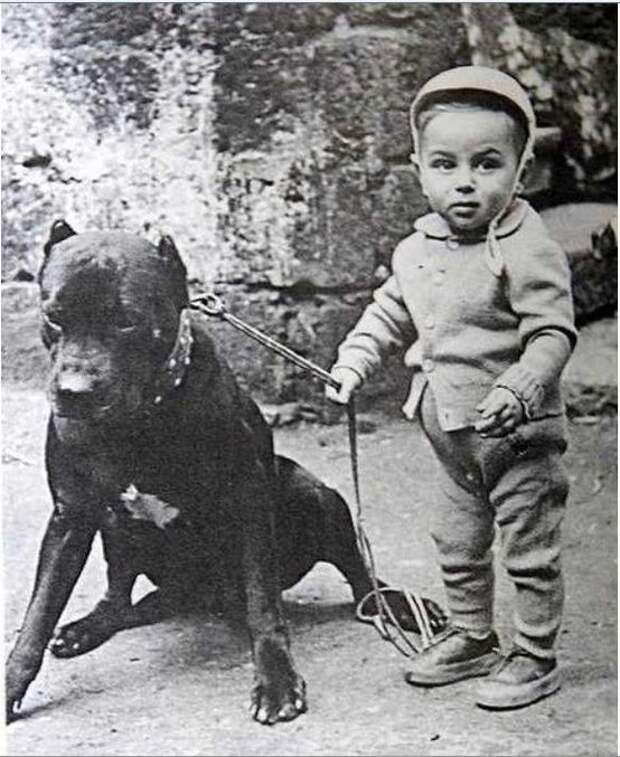 Исторические фотографии о Nanny Dogs: лучшие няньки - это питбули Nanny Dogs, дети, история, няньки, питбули, факты