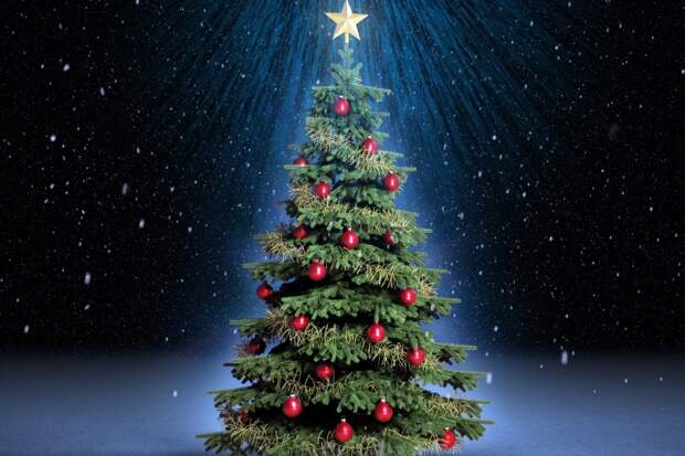 Саона рассказала о новогодней символике и ее значении