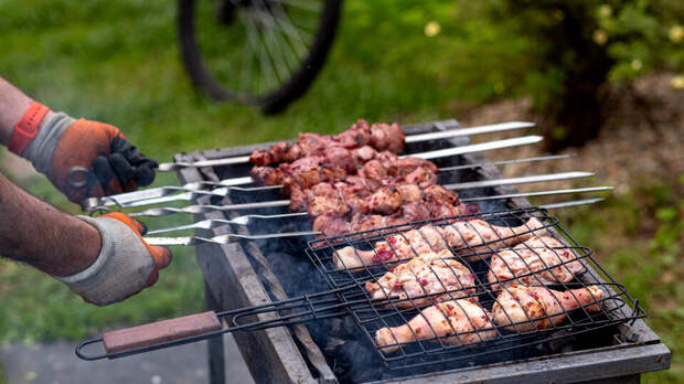 Россиян предупредили о штрафах за приготовление шашлыка на даче