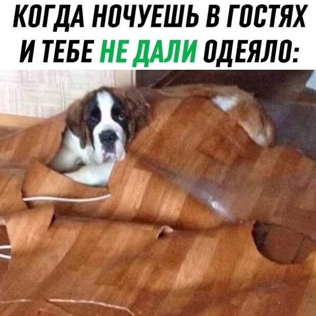 Жду подруг на чай… протираю рюмки!