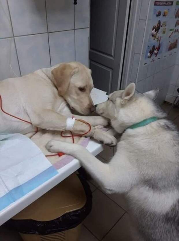 Всё будет хорошо!