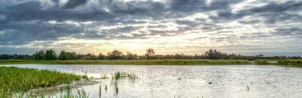 Увяз в болоте: спасатели помогли автовладельцу близ Капшагая