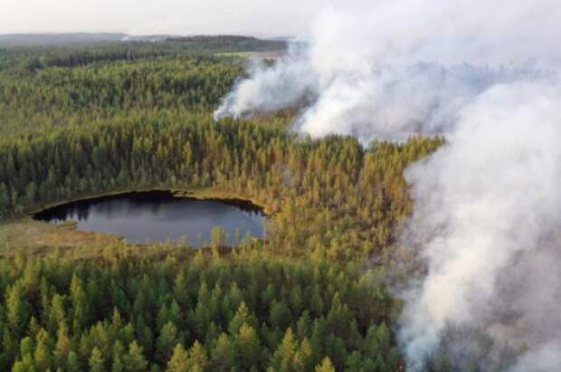 Горящие леса в районе Сямозера в Пряжинском районе Карелии в 2021 г.