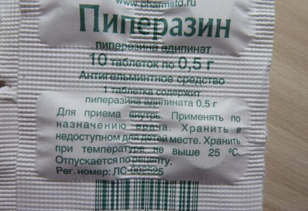 Убивает ли алкоголь глистов? Какие хорошие таблетки от глистов взрослым