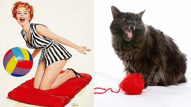 Кошки и девушки в стиле пинап pinupcats06 Кошки и девушки в стиле пинап