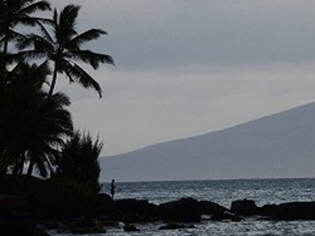 Власти США назвали причину ложной тревоги на Гавайях
