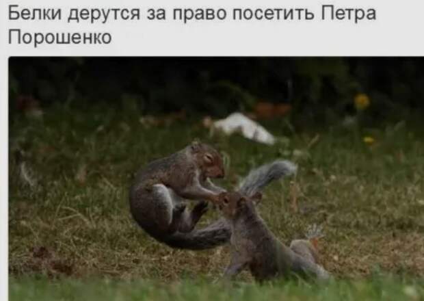 13586261.jpg